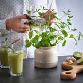 بانکه ایکیا مدل BRUGDHAJ (حجم 1 لیتر)